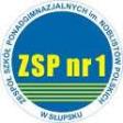 zsp1_sl.jpg